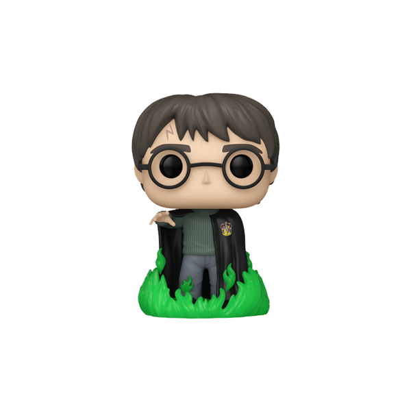 HARRY POTTER WITH FLOO POWDER (GLOW) Funko Pop! Action Figure