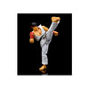 [Pre-Order] Ultra Street Fighter II: The Final Challengers Ryu 6-Inch Action Figure